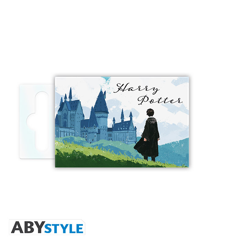 Abysse: Harry Potter - Standard Magnet - Harry & Hogwarts