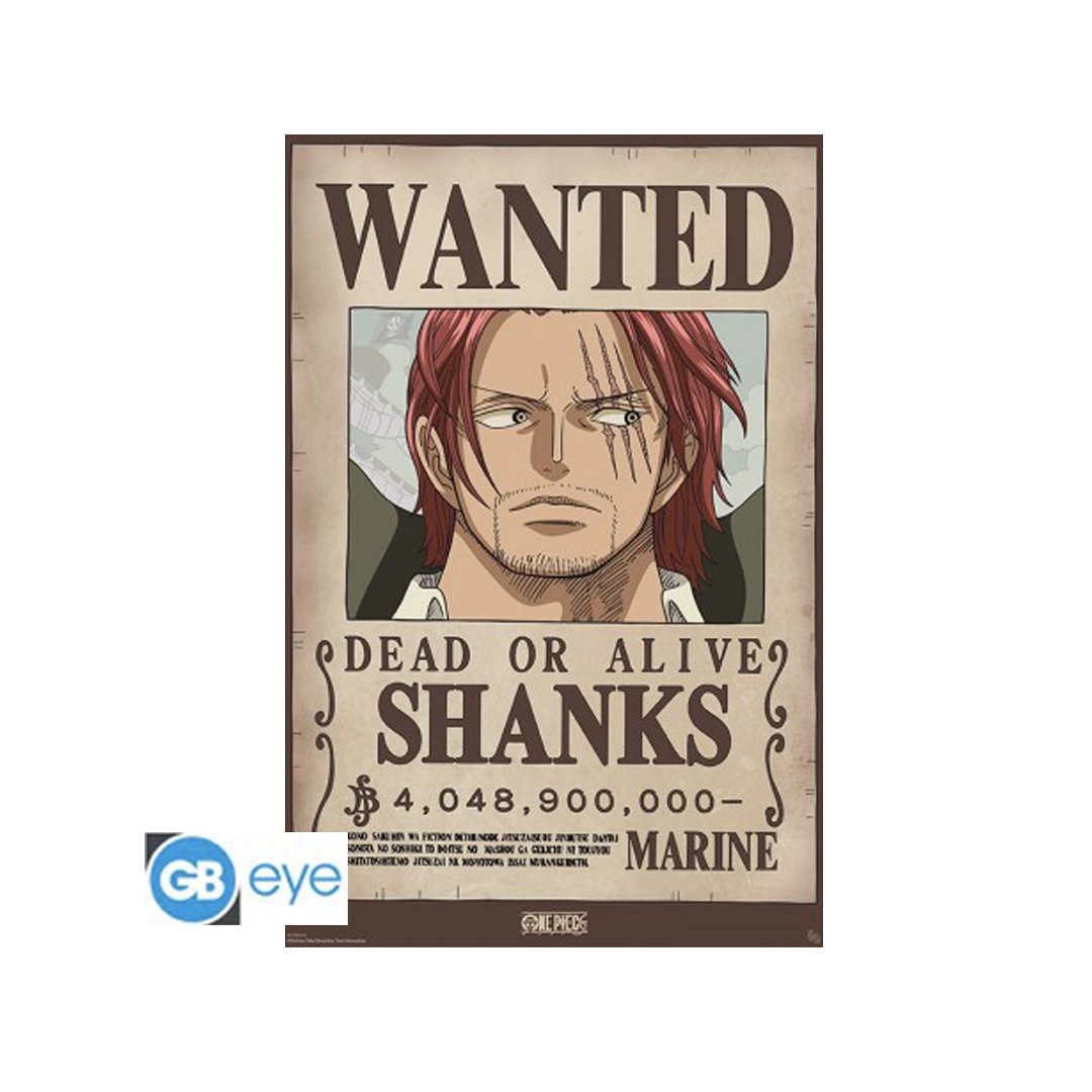 One Piece Maxi Poster