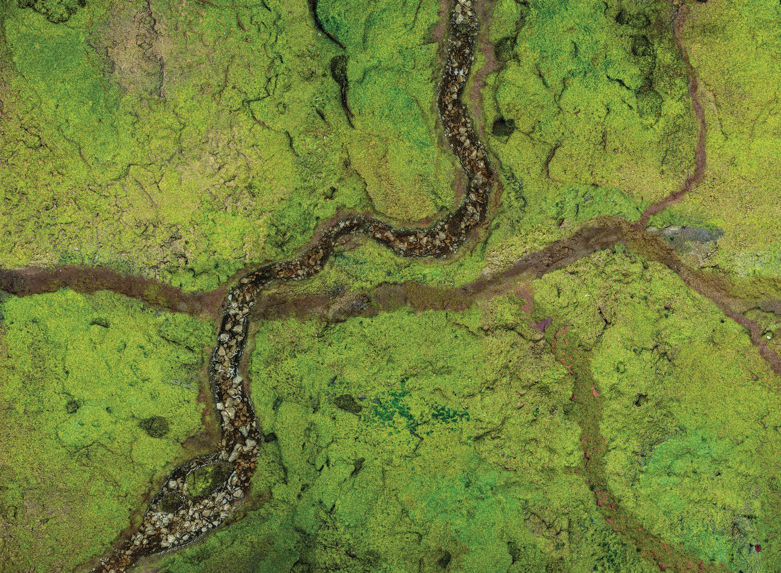 Kraken Wargames | River Valley | Tabletop Playmat (111x152cm)