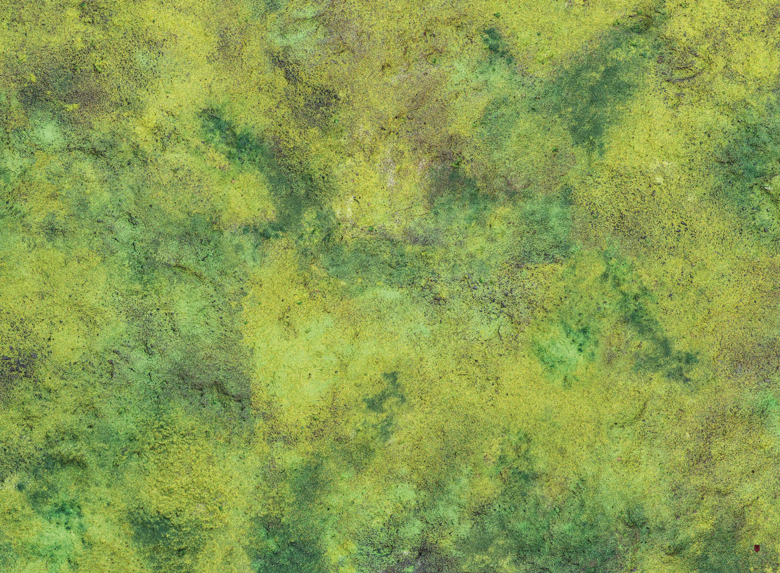 Kraken Wargames | Grass Plain | Tabletop Playmat (111x152cm)